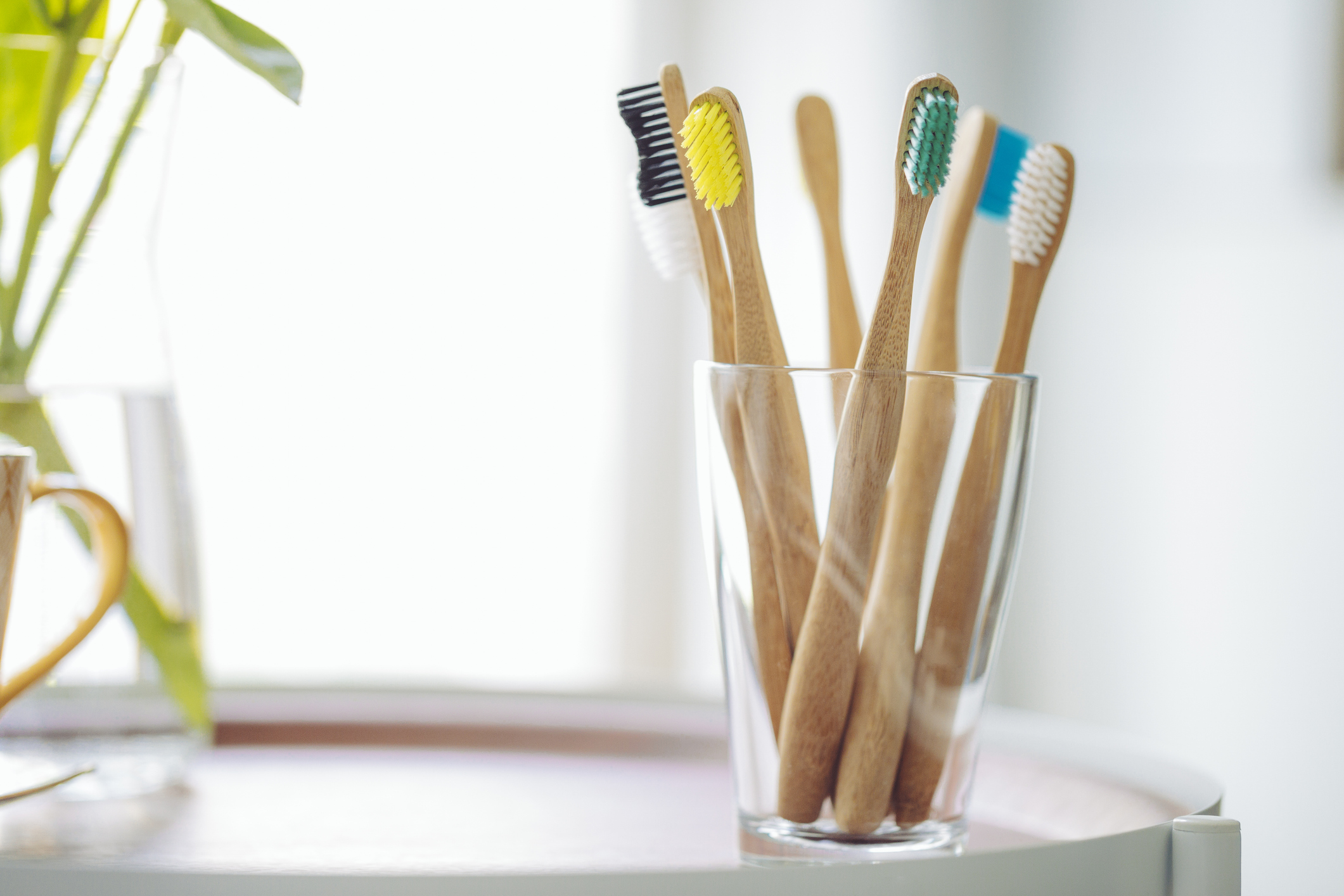 microorganismos invisibles en el cepillo dental